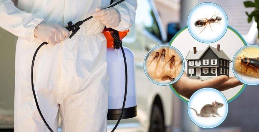 Gündoğmuş Böcek İlaçlama