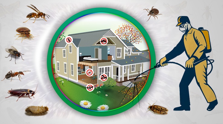 Gündoğmuş Böcek İlaçlama