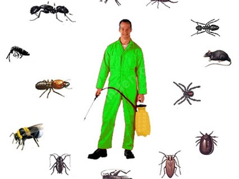 Gündoğmuş Böcek İlaçlama